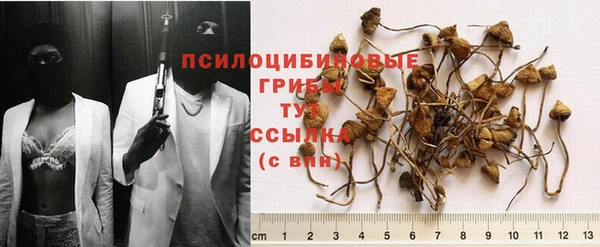 бошки Бугульма