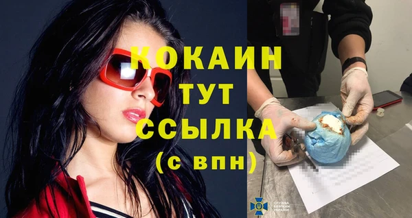 МДМА Бородино