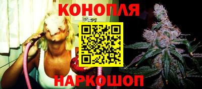 гидропоника Дубна