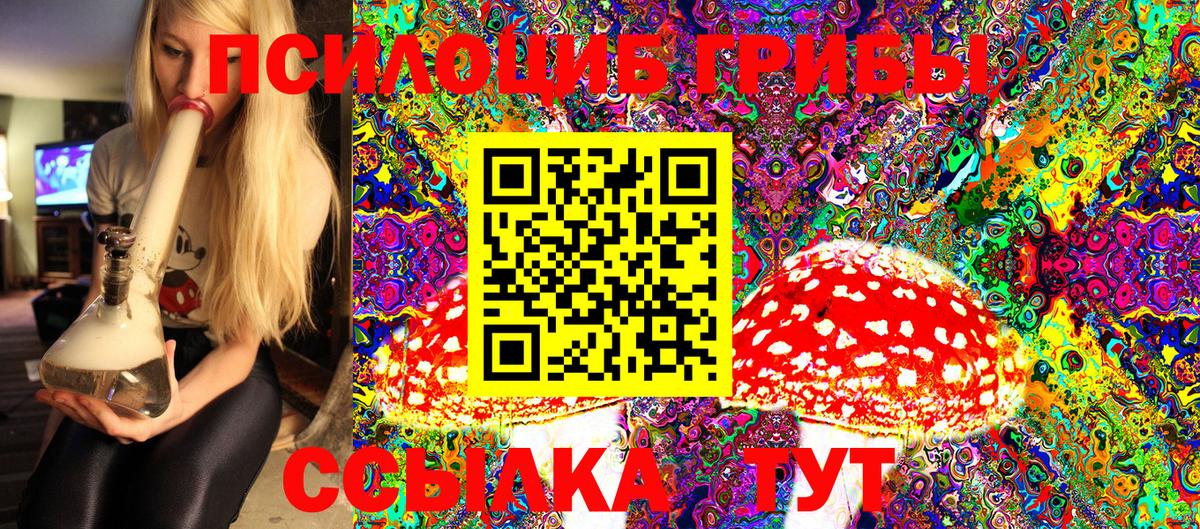 Псилоцибиновые грибы Cubensis Надым